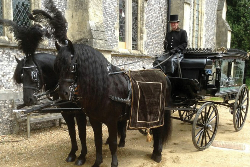 Funeral Horse and Carriage